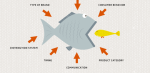 Brand Cannibalization