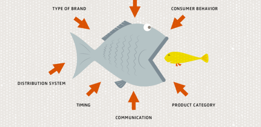 Brand Cannibalization