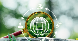 Authentic Sustainability